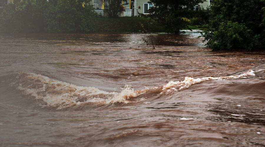 Why choose Tucson Water Damage Restoration Champions for water damage restoration in Tucson